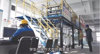 石油化工技术与市场销售 产业链协同发展的双轮驱动